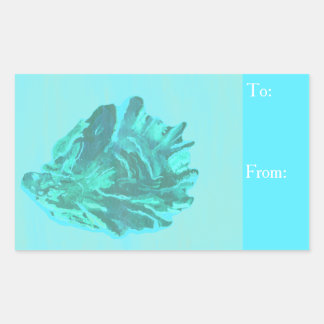 Bright Blue Oyster Seasell Rechthoekige Sticker