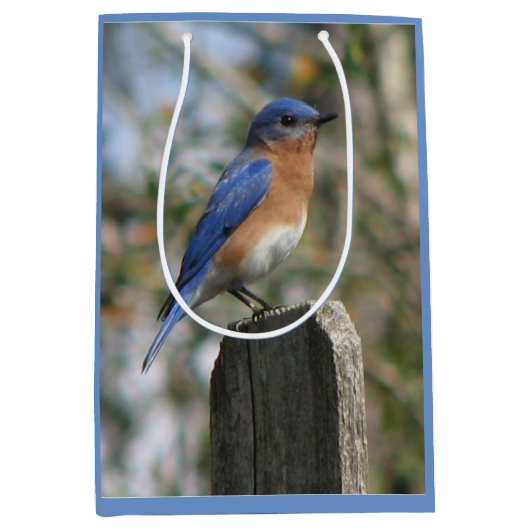 Bright Bluebird Male Medium Cadeauzakje (Voorkant)