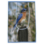 Bright Bluebird Male Medium Cadeauzakje (Achterkant)