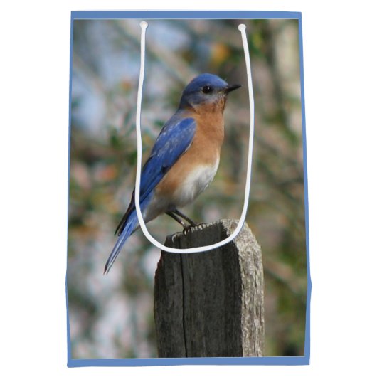 Bright Bluebird Male Medium Cadeauzakje (Achterkant)