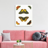 Bright Butterflies van Pieter Cramer Canvas Afdruk (Insitu (Woonkamer))