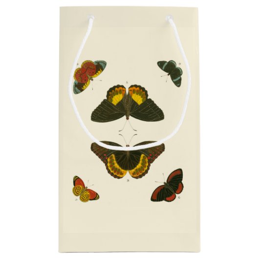 Bright Butterflies van Pieter Cramer Klein Cadeauzakje (Achterkant)