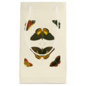 Bright Butterflies van Pieter Cramer Klein Cadeauzakje (Voorkant)