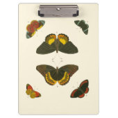 Bright Butterflies van Pieter Cramer Klembord (Voorkant)