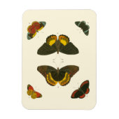 Bright Butterflies van Pieter Cramer Magneet (Verticaal)