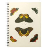 Bright Butterflies van Pieter Cramer Notitieboek (Voorkant)