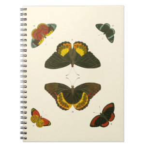 Bright Butterflies van Pieter Cramer Notitieboek
