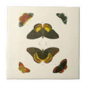 Bright Butterflies van Pieter Cramer Tegeltje (Voorkant)