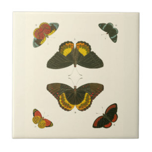 Bright Butterflies van Pieter Cramer Tegeltje