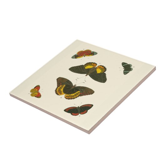 Bright Butterflies van Pieter Cramer Tegeltje (Zijkant)