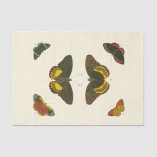 Bright Butterflies van Pieter Cramer Tissuepapier