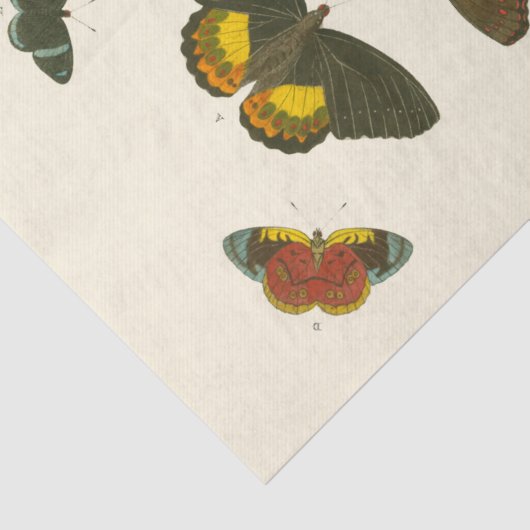 Bright Butterflies van Pieter Cramer Tissuepapier (Detail)