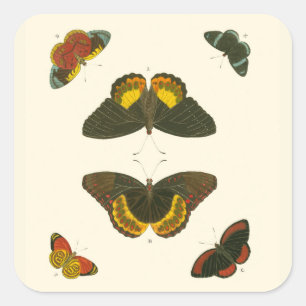 Bright Butterflies van Pieter Cramer Vierkante Sticker
