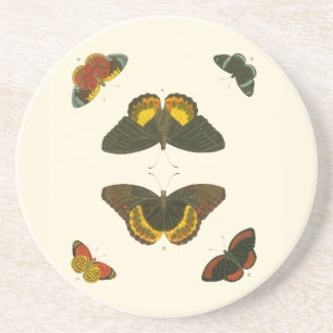 Bright Butterflies van Pieter Cramer Zandsteen Onderzetter