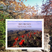 Bright Claret Cup Cactus Blossoms, Big Bend NP, TX Briefkaart