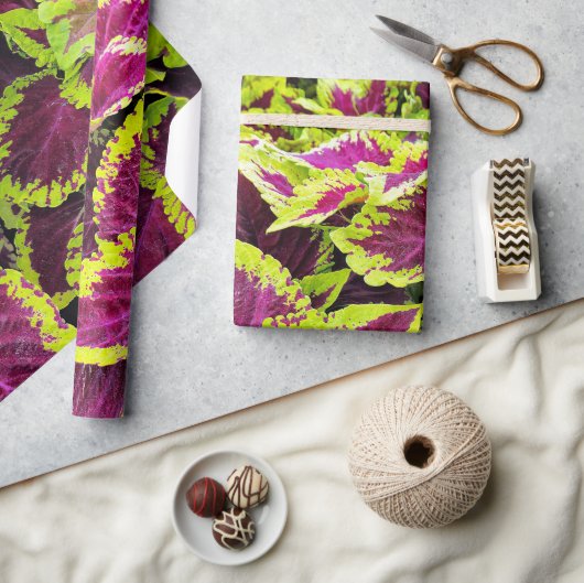 Bright Coleus Leaf Design Cadeaupapier (Crafts)