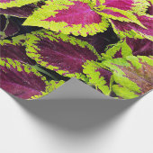 Bright Coleus Leaf Design Cadeaupapier (Hoek)