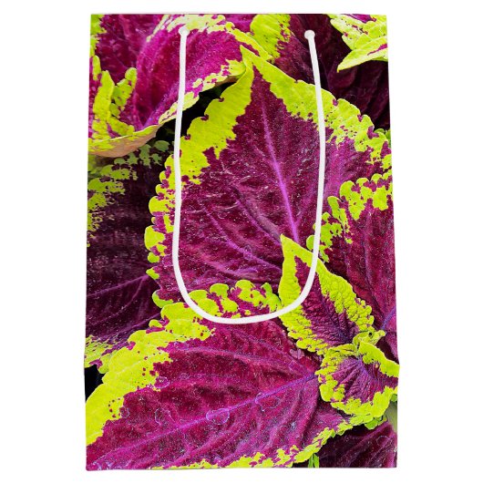 Bright Coleus Leaf Design Medium Cadeauzakje (Achterkant)
