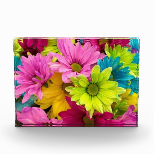 BRIGHT COLORFUL FLOWERS FOTOBLOKKEN (Voorkant)