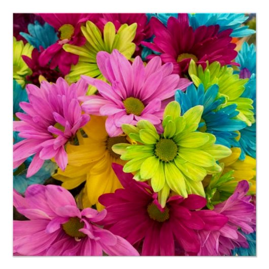 BRIGHT COLORFUL FLOWERS PERFECT POSTER (Voorkant)