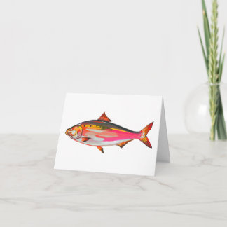 Bright, colourful fish greetings card feestdagen kaart