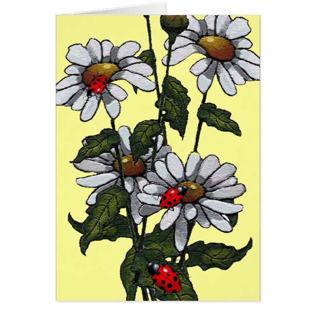 Bright Daisies en Ladybugs: Oorspronkelijke illust (Voorkant)