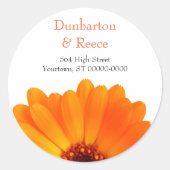 Bright Daisy Stickers (Voorkant)