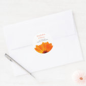 Bright Daisy Stickers (Envelop)