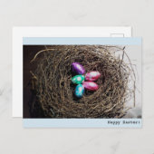 Bright Easter eggs in real bird's is geen fotograa Feestdagenkaart (Voorkant / Achterkant)