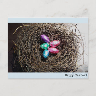 Bright Easter eggs in real bird's is geen fotograa Feestdagenkaart