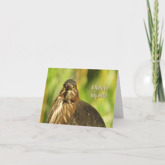 Bright Eyed Heron - Blank Wenskaart Kaart (Voorkant)