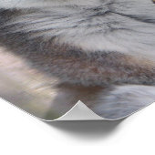 Bright eyed Lemur Poster (Hoek)