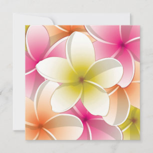 Bright Frangipani/Plumeria bloemen