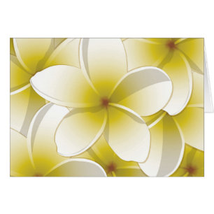 Bright Frangipani/Plumeria bloemen