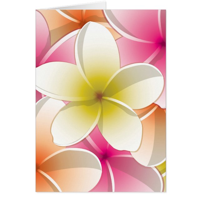 Bright Frangipani/Plumeria bloemen (Voorkant)