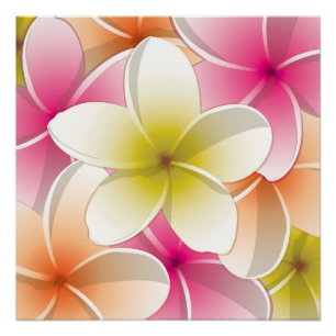 Bright Frangipani/Plumeria bloemen Poster