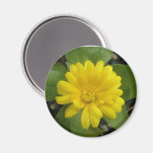 Bright Geel Marigold Magnet (Voorkant / Achterkant)