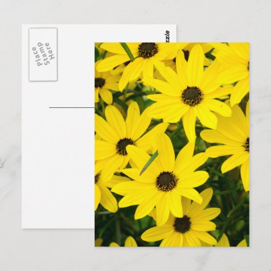 Bright gele bloemen briefkaart (Voorkant / Achterkant)