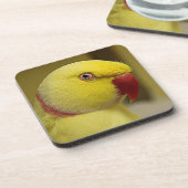 Bright Gele Lutino Indische ringnek Parrot Bier Onderzetter (Linkerzijde)