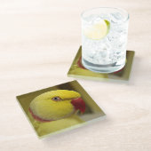 Bright Gele Lutino Indische ringnek Parrot Glazen Onderzetter (Schuin)