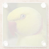 Bright Gele Lutino Indische ringnek Parrot Glazen Onderzetter (Achterkant)