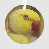 Bright Gele Lutino Indische ringnek Parrot Ornament (achterkant)