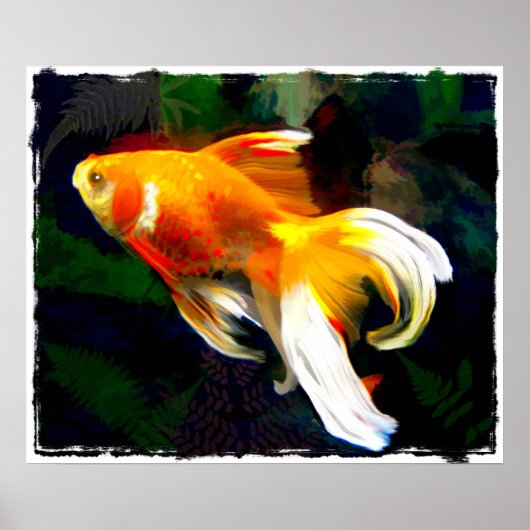 Bright Golden Koi in Dark Fish Pond Poster (Voorkant)