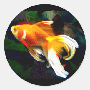 Bright Golden Koi in Dark Fish Pond Ronde Sticker