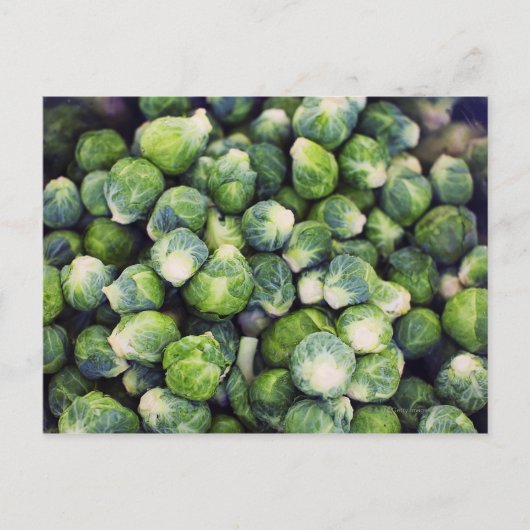 Bright Green Fresh Brussels Sprouts Briefkaart (Voorkant)