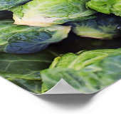 Bright Green Fresh Brussels Sprouts Poster (Hoek)