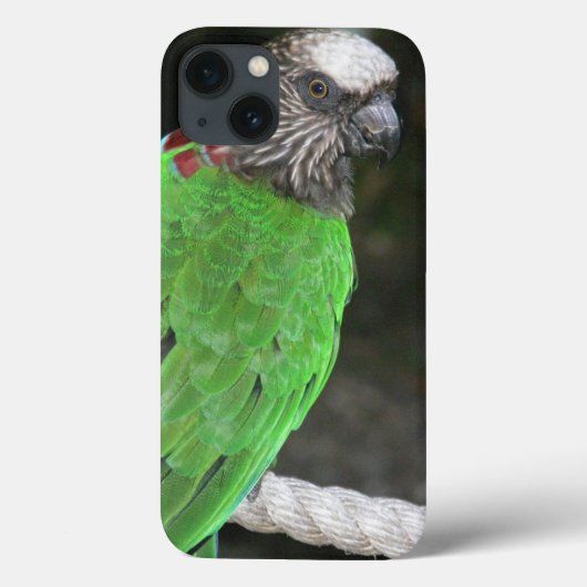 "BRIGHT GREEN PARROT" HOESJE VOOR IPHONE 7 (Achterkant)