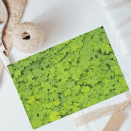 Bright Green Shamrocks Floral Tissuepapier