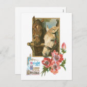 Bright Happy Christmas -  Paarden Feestdagenkaart (Voorkant / Achterkant)