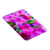 Bright Happy Kalanchoe Flowers Roze Magenta Paars Magneet (Rechterzijde)